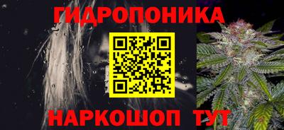 прущие крисы Ставрополь