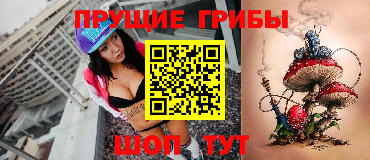 Саяногорск  купить  цена  Вход с VPN  Псилоцибиновые грибы Psilocybine cubensis 